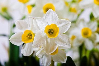 EA魔法FPS《不朽者传奇》延期至8月22日发行